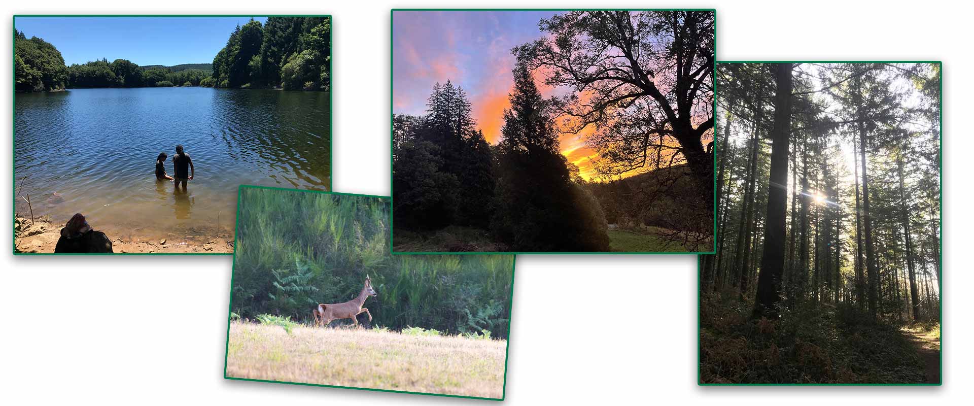 Prés forêt lac nature à Limouzy